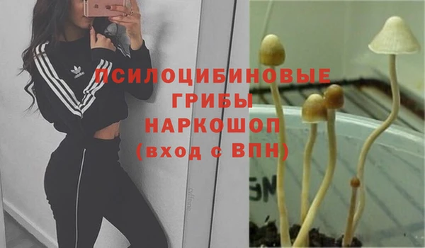 мескалин Аркадак
