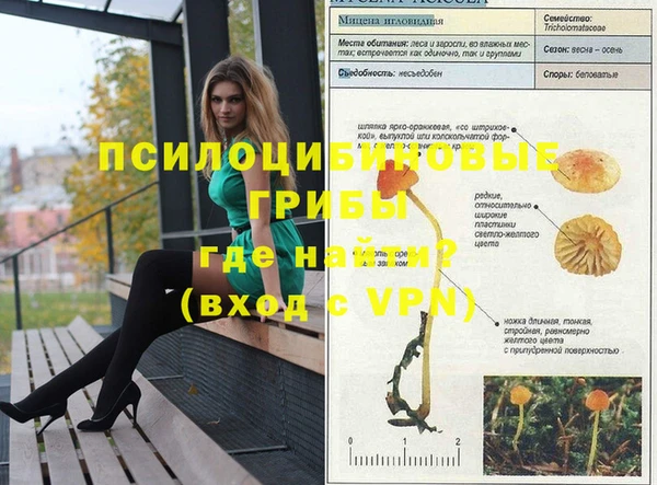 меф Армянск